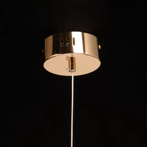 510013801 Оскар 5W LED 220 V люстра  фото 9